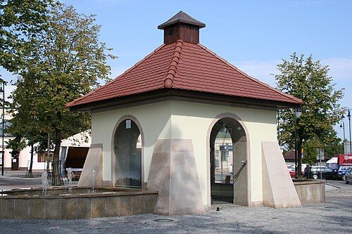 Kolbuszowskie Krokodyle