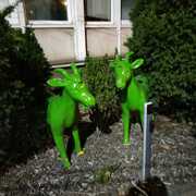 Koziołki - Zajezdnia Tramwajowa Głogowska