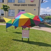 Karp - Tomice