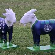 Koziołki - Wydział Inżynierii Środowiska i Energet