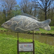 Karp - Pałac Maltzanów