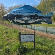 Karp - Gospodarstwo Rybackie II