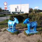 Koziołki - Śródka