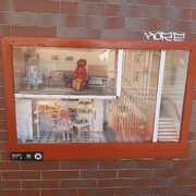 Skrzaty w swoim domu