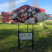 Karp - Muzeum Bombki