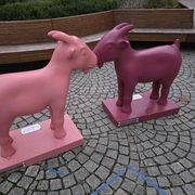 Koziołki - Plac Kolegiacki