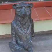 Miś w garniturze z teczką