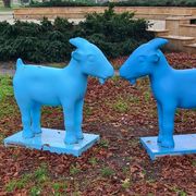 Koziołki - Park Maciejewskiego