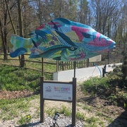 Karp - Stary Młyn