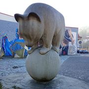 Niedźwiadek na kuli