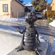Krokodyl VII