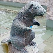 Bóbr przy Pałacu Kultury Zagłębia