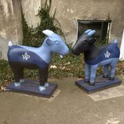 Koziołki - Wydawnictwo Poznańskie