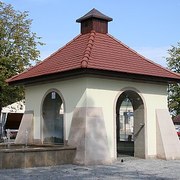 Kolbuszowskie Krokodyle