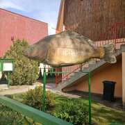 Karp - Zakład Rybacki