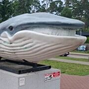 Stegnuś