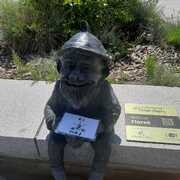 Florek