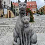 Kociogórek i Lubuszka