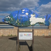 Karp - Staw Szperek