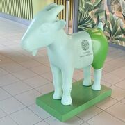 Koziołek - Termy Maltańskie