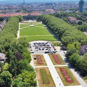 Szczecińskie Gryfusy