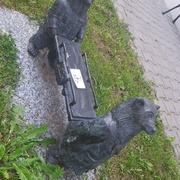 Niedźwiadki z noszami