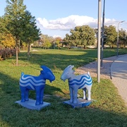 Koziołki - Park Stare Koryto Warty