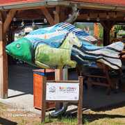 Karp - Ostoja Konika Polskiego