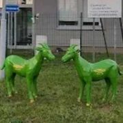 Koziołki - Zajezdnia Tramwajowa Franowo